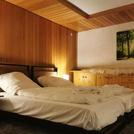 Geraeumige Wohnung In Altenau Mit Terrasse アパート *