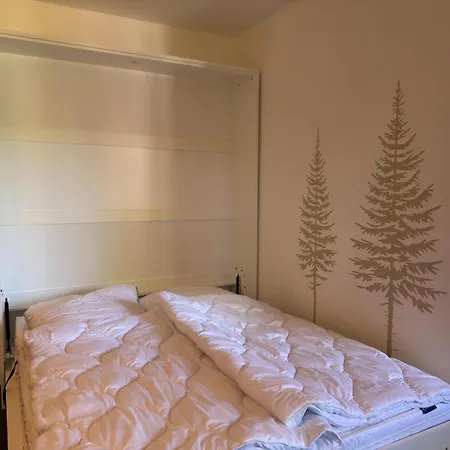 アパート Geraeumige Wohnung In Altenau Mit Terrasse *