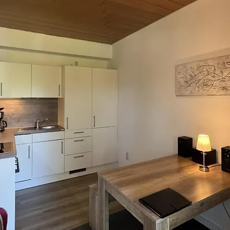 Geraeumige Wohnung In Altenau Mit Terrasse アパート Lissendorf