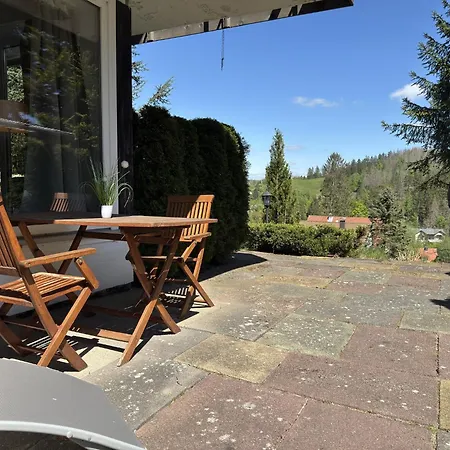 Geraeumige Wohnung In Altenau Mit Terrasse