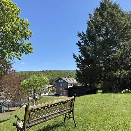 Geraeumige Wohnung In Altenau Mit Terrasse
