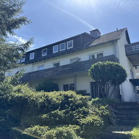 アパート Geraeumige Wohnung In Altenau Mit Terrasse