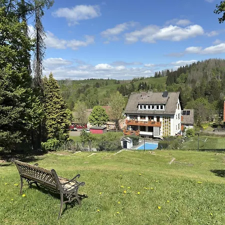 Geraeumige Wohnung In Altenau Mit Terrasse